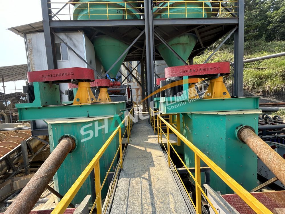 Scrubbing Machine